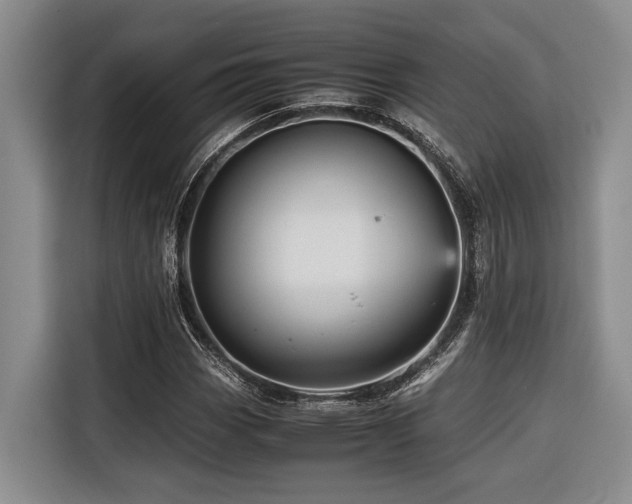 X0000116441113200912081551