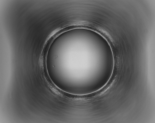 X0000116441114200912081551