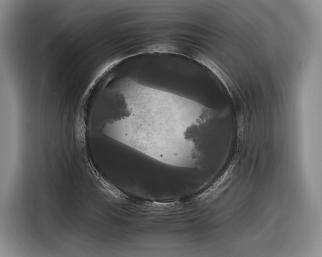 X0000116441115200912081551