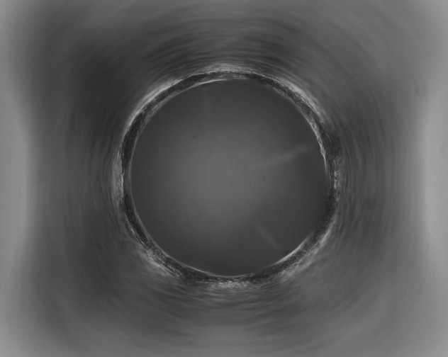 X0000116441117200912081551