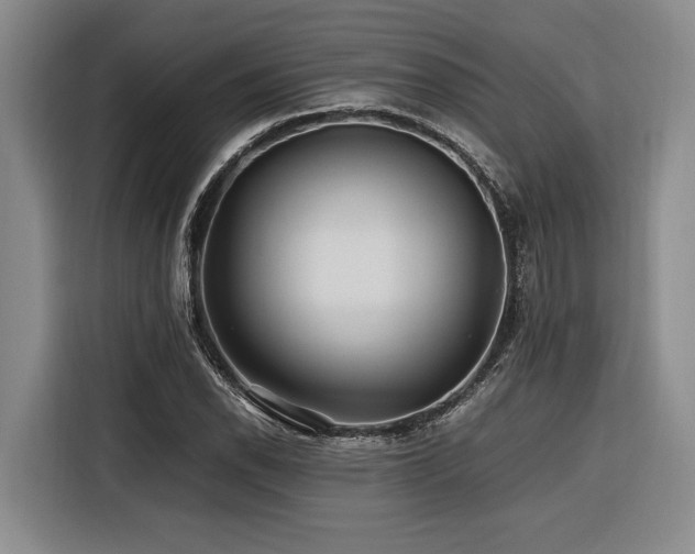 X0000116441118200912081551