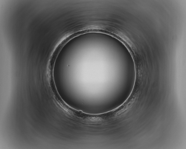 X0000116441119200912081551