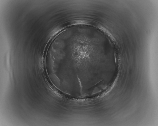 X0000116441121200912081551