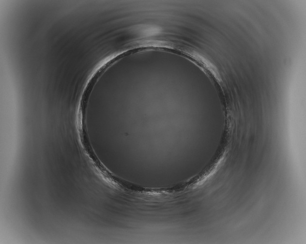 X0000116441125200912081551