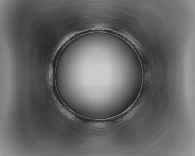 X0000116441126200912081551