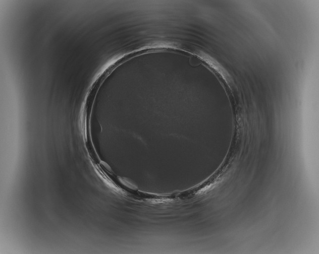 X0000116441127200912081551