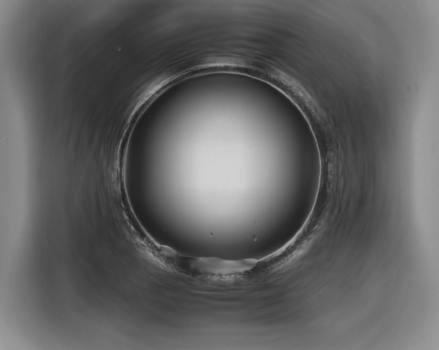 X0000116441129200912081551