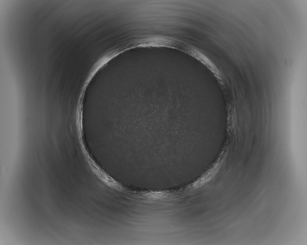 X0000116441130200912081551