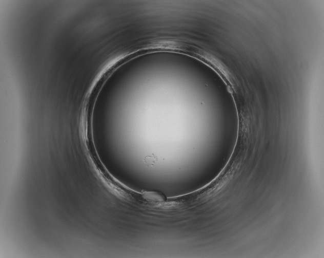 X0000116441131200912081551