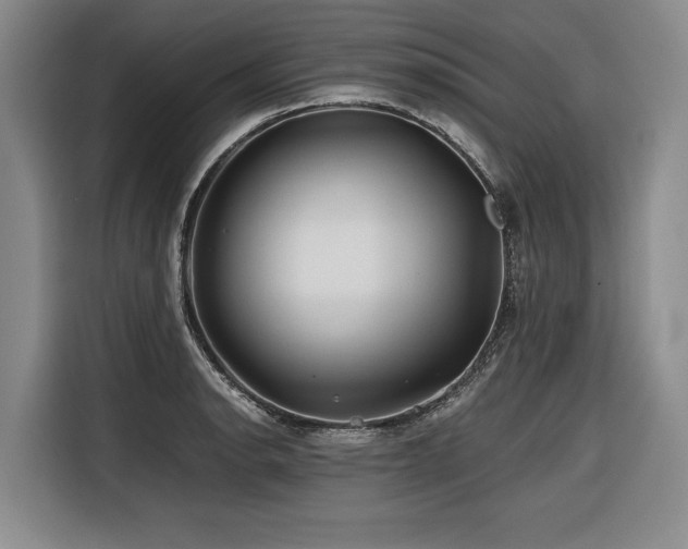 X0000116441134200912081551