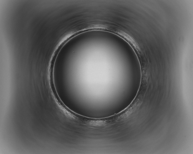 X0000116441135200912081551
