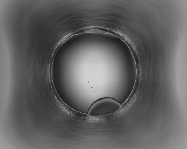 X0000116441137200912081551