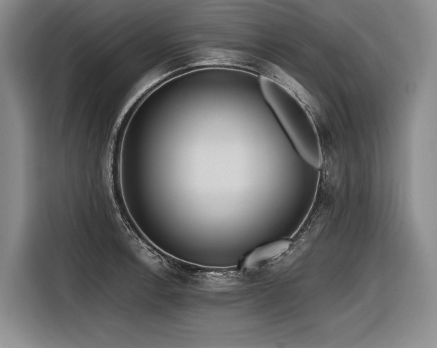 X0000116441138200912081551