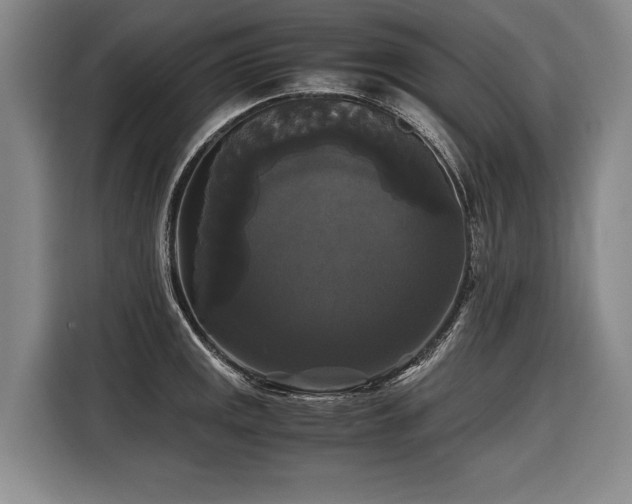 X0000116441141200912081551
