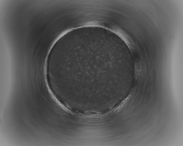 X0000116441142200912081551