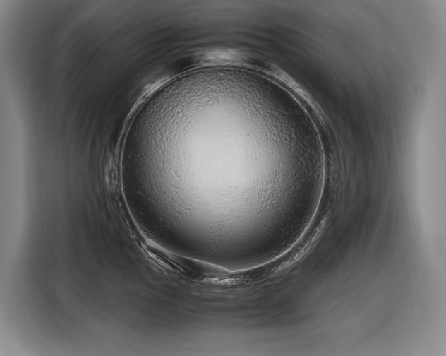 X0000116441145200912081551