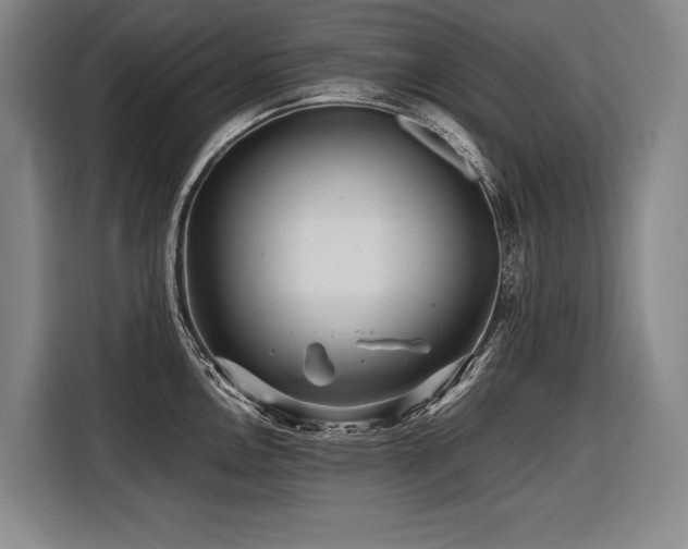 X0000116441146200912081551