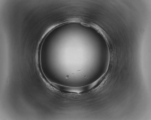 X0000116441147200912081551