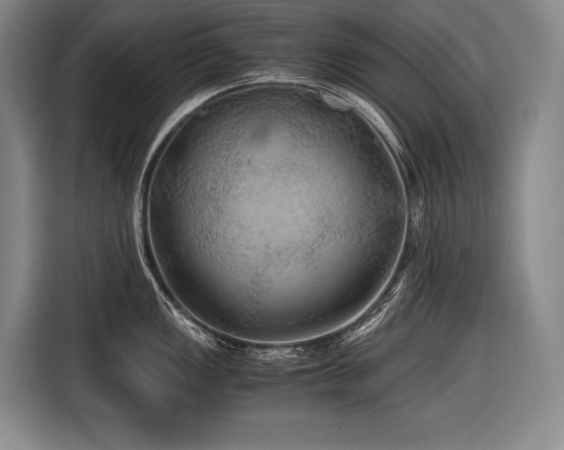 X0000116441149200912081551