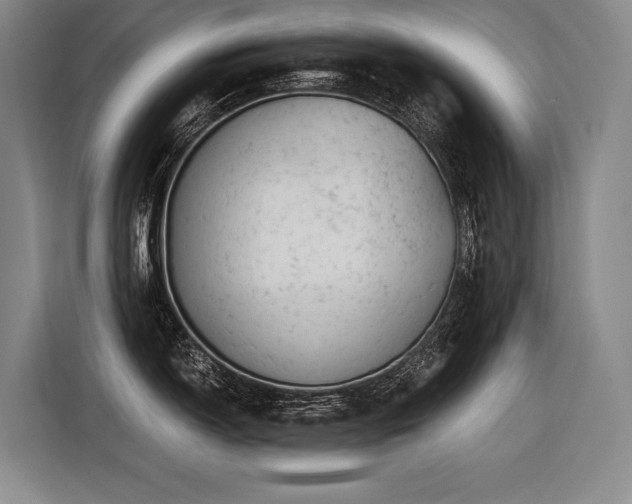 X0000116441150200912081551