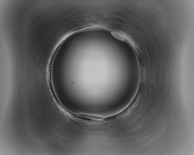 X0000116441151200912081551