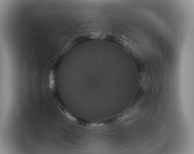 X0000116441154200912081551