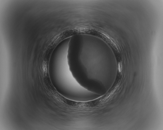 X0000116441155200912081551