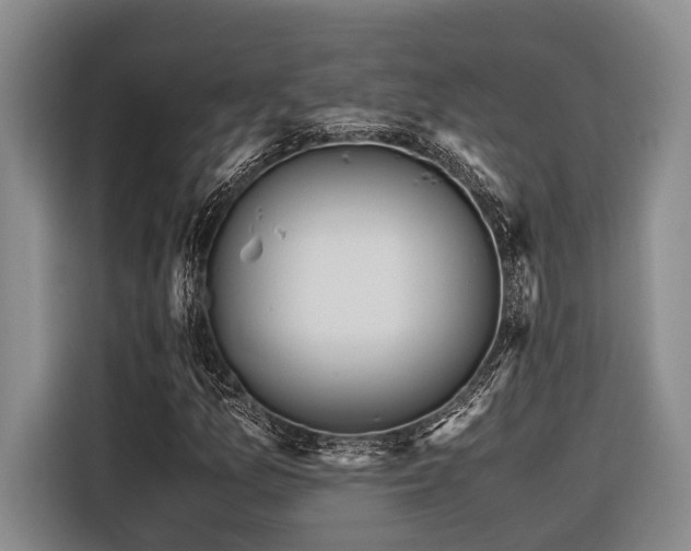 X0000116441157200912081550