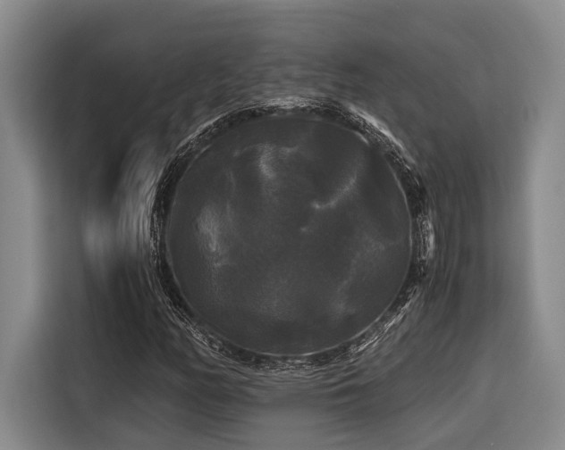 X0000116441158200912081550