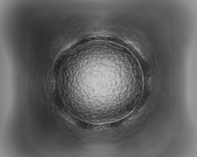 X0000116441159200912081550