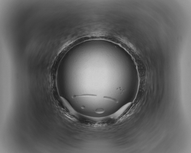 X0000116441160200912081550