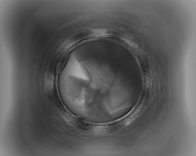 X0000116441161200912081550