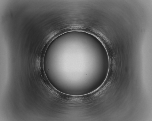 X0000116441162200912081550