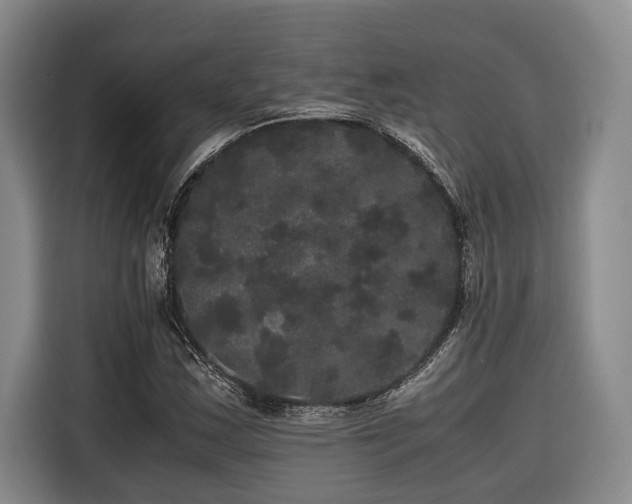X0000116441163200912081550