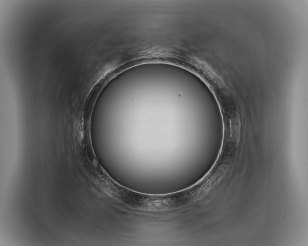 X0000116441165200912081550