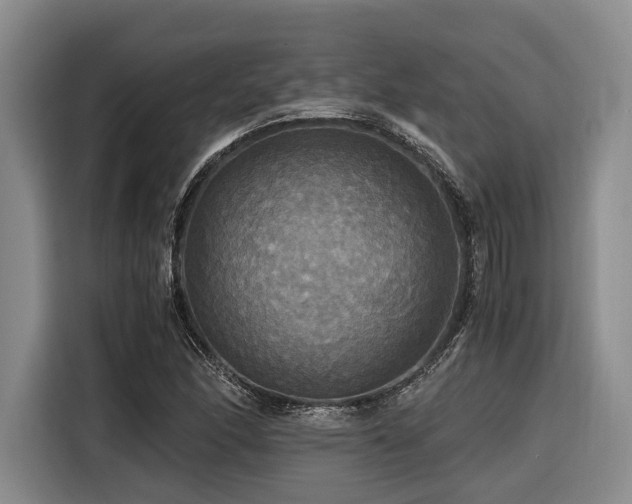 X0000116441166200912081550