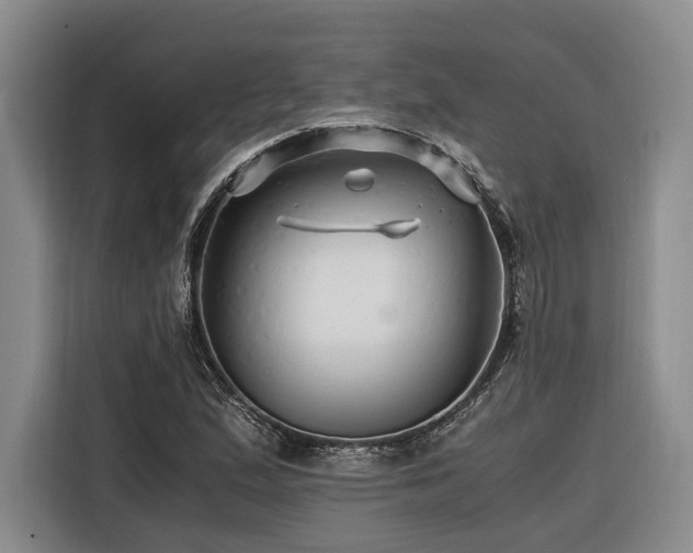 X0000116441167200912081550