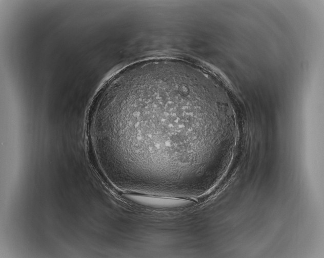 X0000116441168200912081550