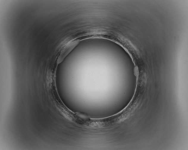 X0000116441169200912081550