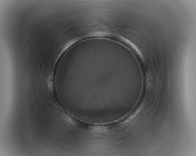 X0000116441170200912081550