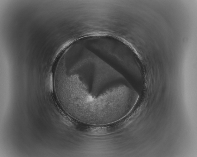 X0000116441171200912081550