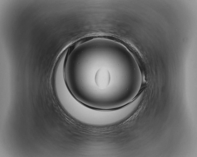X0000116441173200912081550