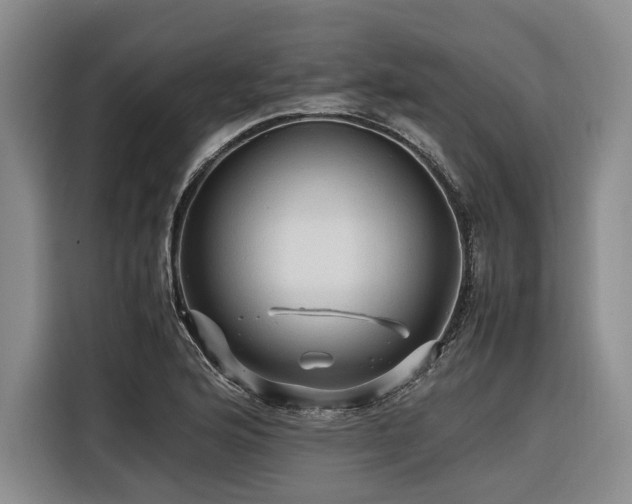 X0000116441176200912081550