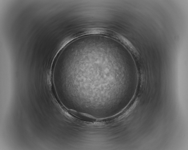 X0000116441178200912081550