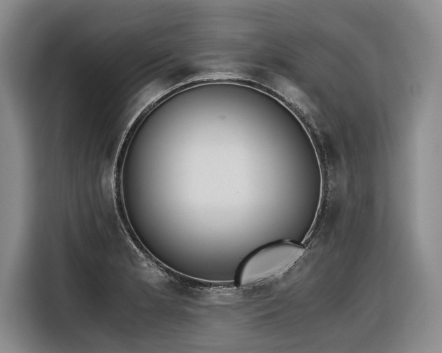 X0000116441181200912081550