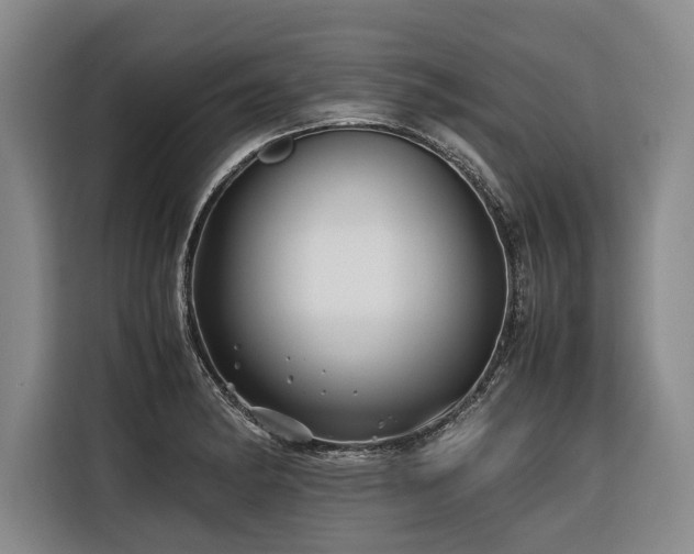X0000116441182200912081550
