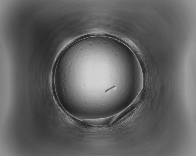 X0000116441183200912081550