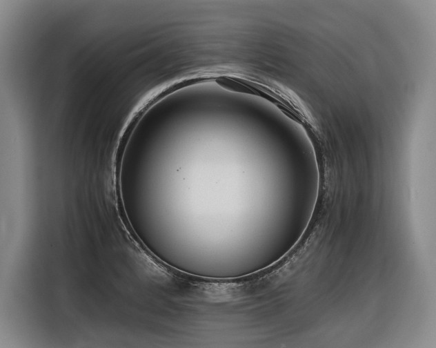 X0000116441184200912081550