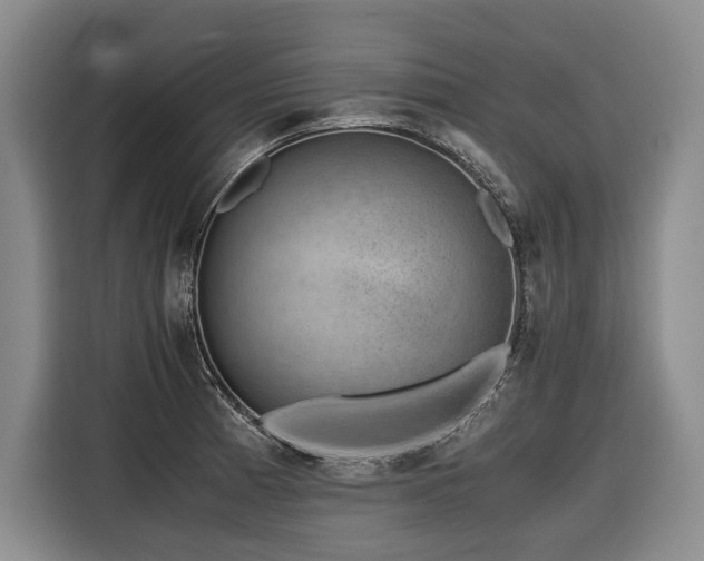 X0000116441185200912081550
