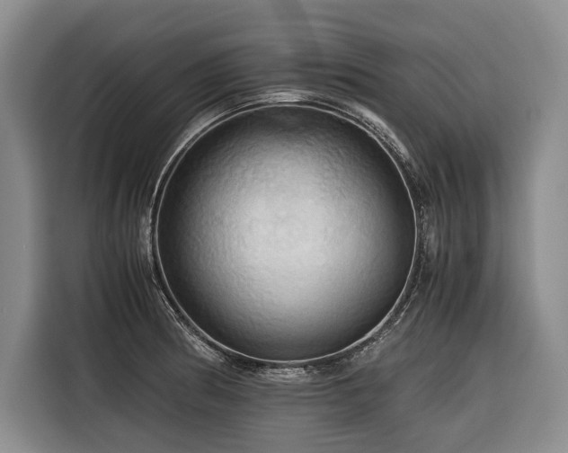 X0000116441186200912081550